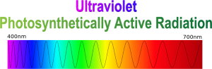 Ultraviolet and photosynthetically active radiation derived from satellite imagery method